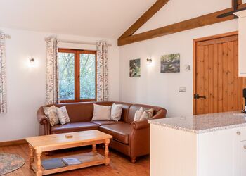 Poachers Premier - Griffon Forest, Flaxton, York