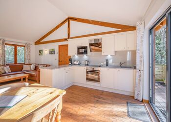 Poachers Premier - Griffon Forest, Flaxton, York