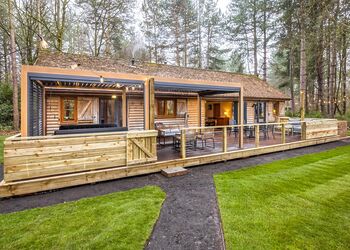 The Foragers Lodge - Griffon Forest, Flaxton, York