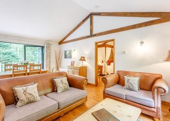 Family Premier - Griffon Forest, Flaxton, York