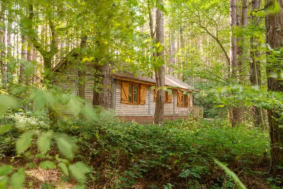 Griffon Forest, Flaxton, York