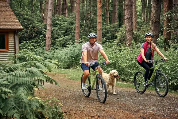 Griffon Forest, Flaxton, York
