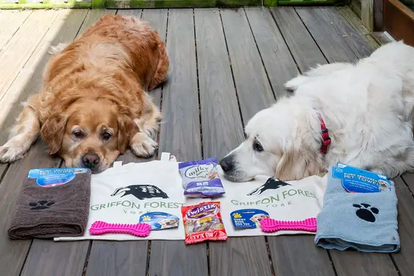 Griffon Forest, Flaxton, York