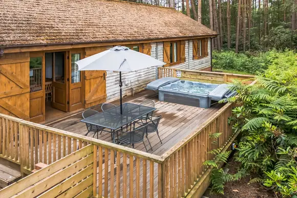 Griffon Forest, Flaxton, York