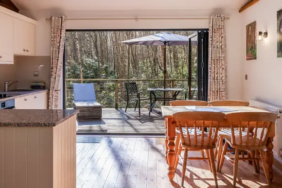 Griffon Forest, Flaxton, York