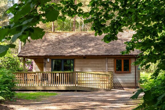Poachers Lodge - Griffon Forest, Flaxton, York