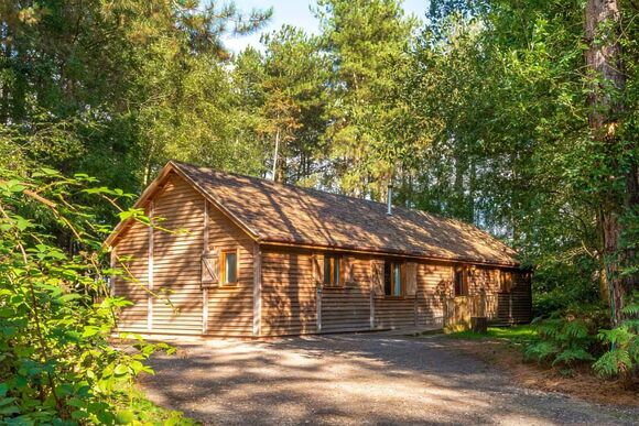 Gardeners Premier (Pet Friendly) - Griffon Forest, Flaxton, York