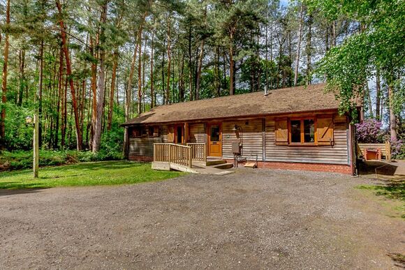Woodmans Lodge (Pet Friendly) - Griffon Forest, Flaxton, York
