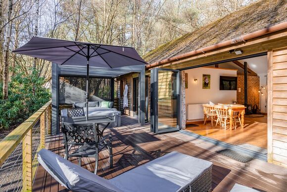 Poachers Premier - Griffon Forest, Flaxton, York