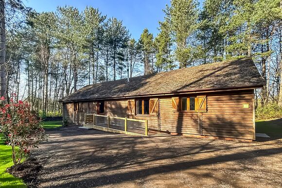 The Foragers Lodge - Griffon Forest, Flaxton, York