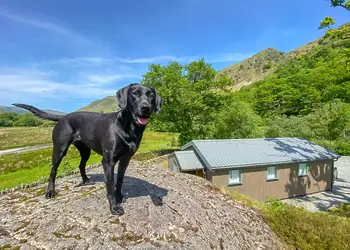 Hartsop Fold Lodges, Patterdale, Ullswater