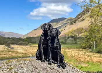 Hartsop Fold Lodges, Patterdale, Ullswater