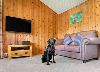 Hartsop Lodge Escape - Hartsop Fold Lodges, Patterdale, Ullswater