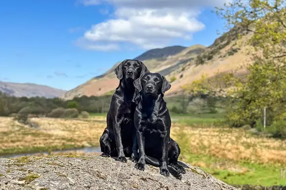 Hartsop Fold Lodges, Patterdale, Ullswater