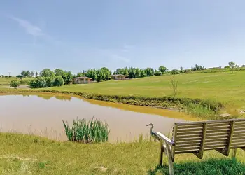 The park setting 