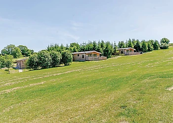 The park setting 