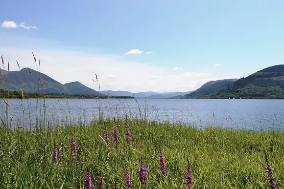 Herdwick Croft, Bassenthwaite, near Keswick