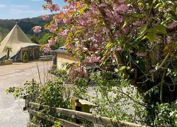 Herons Lake Retreat, Caerwys, Flintshire