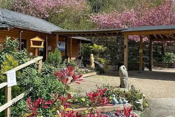 Herons Lake Retreat, Caerwys, Flintshire