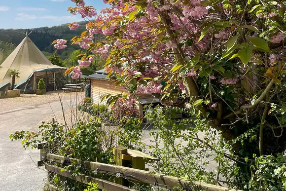 Herons Lake Retreat, Caerwys, Flintshire