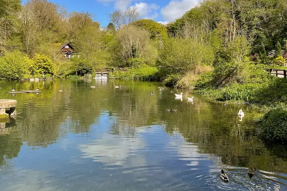 Herons Lake Retreat, Caerwys, Flintshire