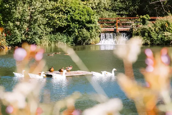 Herons Lake Retreat, Caerwys, Flintshire