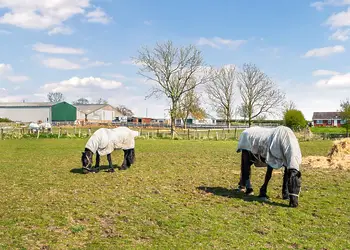 Helsey Farm Cottages, Helsey