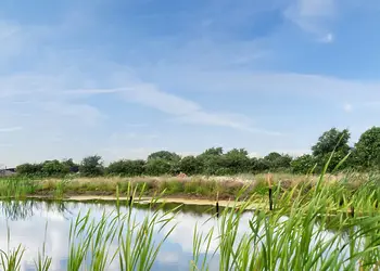 Helsey Farm Cottages, Helsey