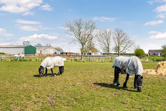 Helsey Farm Cottages, Helsey