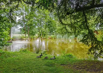 Henlle Hall Cottages, Henlle, Nr Oswestry
