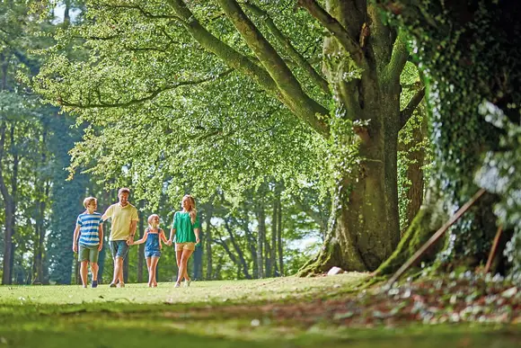 Hengar Manor Country Park, St Tudy, Bodmin