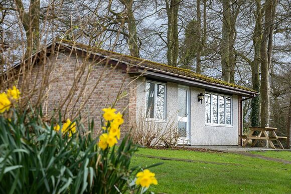 2 Bedroom Bungalow - Hengar Manor Country Park, St Tudy, Bodmin