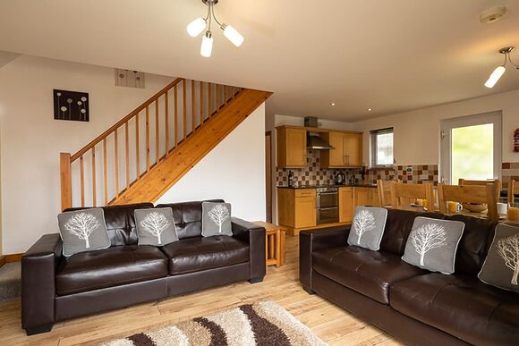 Gold 4 Villa (Pet Friendly) - Hengar Manor Country Park, St Tudy, Bodmin