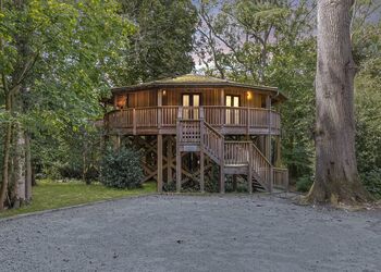 Chestnut Heights Tree House - Henlle Hall Woodland Lodges, Henlle, Nr Oswestry