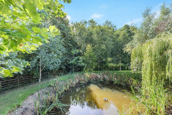Lily Pond - Henlle Hall Woodland Lodges, Henlle, Nr Oswestry
