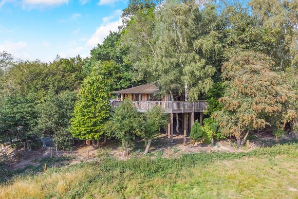 Birchwood Heights Tree House - Henlle Hall Woodland Lodges, Henlle, Nr Oswestry