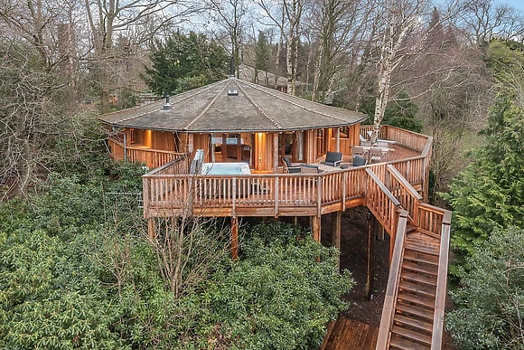 Chestnut Heights Tree House 