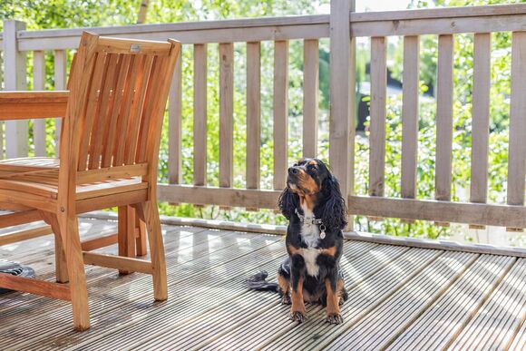 Lovetts Lodge - Henlle Hall Woodland Lodges, Henlle, Nr Oswestry