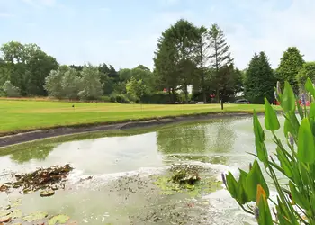 Herons Brook Retreat Lodges, Narberth, Nr Tenby