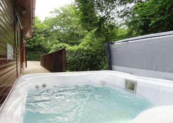 Hornbeam Lodge 4 - Herons Brook Retreat Lodges, Narberth, Nr Tenby