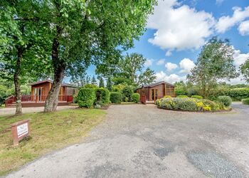 Bay Tree Lodge 2 - Herons Brook Retreat Lodges, Narberth, Nr Tenby