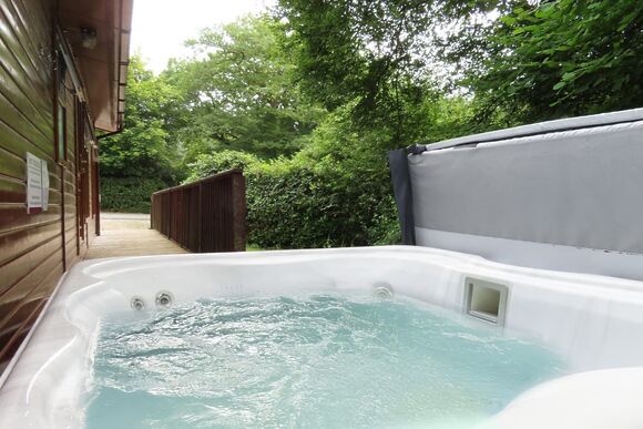 Hornbeam Lodge 4 - Herons Brook Retreat Lodges, Narberth, Nr Tenby