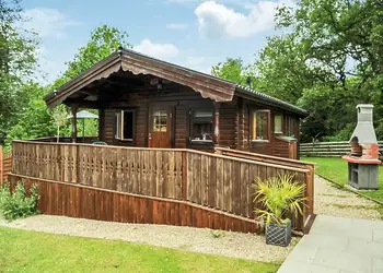 Typical Kingfisher VIP