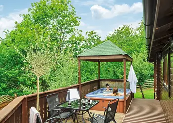 Typical Kingfisher VIP