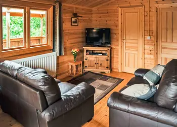 Typical Kingfisher VIP