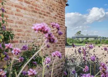Home Farm Park Luxury Barns, Burgh le Marsh