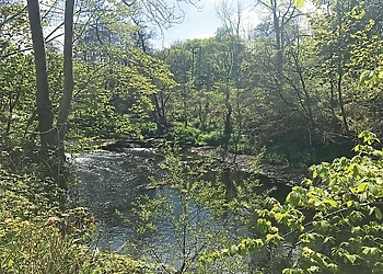 Hideaway Lodges, Birkhill, Linlithgow, Edinburgh