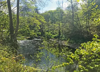 Hideaway Lodges, Birkhill, Linlithgow, Edinburgh