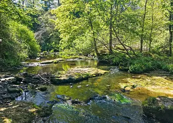 Hideaway Lodges, Birkhill, Linlithgow, Edinburgh