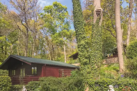 Hideaway Lodges